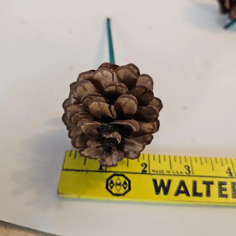 30 Natural Pine Cone Floral Picks 7in Green Wood Stems Wreath Craft Rustic Decor